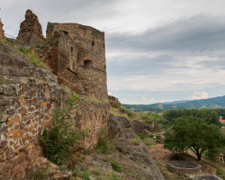 Image by <a href="https://pixabay.com/users/walkerssk-1409366/?utm_source=link-attribution&utm_medium=referral&utm_campaign=image&utm_content=1640389">Walkerssk</a> from <a href="https://pixabay.com/?utm_source=link-attribution&utm_medium=referral&utm_campaign=image&utm_content=1640389">Pixabay</a>