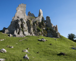 Image by <a href="https://pixabay.com/users/petto123-551639/?utm_source=link-attribution&utm_medium=referral&utm_campaign=image&utm_content=3435402">petto123</a> from <a href="https://pixabay.com/?utm_source=link-attribution&utm_medium=referral&utm_campaign=image&utm_content=3435402">Pixabay</a>