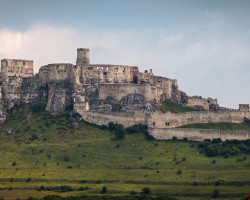 Image by <a href="https://pixabay.com/users/walkerssk-1409366/?utm_source=link-attribution&utm_medium=referral&utm_campaign=image&utm_content=4460578">Walkerssk</a> from <a href="https://pixabay.com/?utm_source=link-attribution&utm_medium=referral&utm_campaign=image&utm_content=4460578">Pixabay</a>