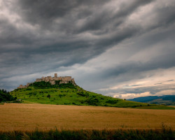 Image by <a href="https://pixabay.com/users/walkerssk-1409366/?utm_source=link-attribution&utm_medium=referral&utm_campaign=image&utm_content=4495411">Walkerssk</a> from <a href="https://pixabay.com/?utm_source=link-attribution&utm_medium=referral&utm_campaign=image&utm_content=4495411">Pixabay</a>