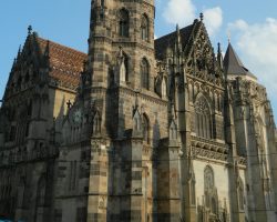 Image by <a href="https://pixabay.com/users/janka00simka0-811923/?utm_source=link-attribution&utm_medium=referral&utm_campaign=image&utm_content=1678275">janka00simka0</a> from <a href="https://pixabay.com/?utm_source=link-attribution&utm_medium=referral&utm_campaign=image&utm_content=1678275">Pixabay</a>