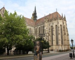 Image by <a href="https://pixabay.com/users/iovanpaul24-7547449/?utm_source=link-attribution&utm_medium=referral&utm_campaign=image&utm_content=3360102">Iovan Paul</a> from <a href="https://pixabay.com/?utm_source=link-attribution&utm_medium=referral&utm_campaign=image&utm_content=3360102">Pixabay</a>