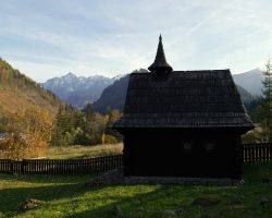 Image by <a href="https://pixabay.com/users/vikino-1417296/?utm_source=link-attribution&utm_medium=referral&utm_campaign=image&utm_content=2869659">Vladimír Ješko</a> from <a href="https://pixabay.com/?utm_source=link-attribution&utm_medium=referral&utm_campaign=image&utm_content=2869659">Pixabay</a>