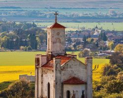 Image by <a href="https://pixabay.com/users/sabrinabelle-20693007/?utm_source=link-attribution&utm_medium=referral&utm_campaign=image&utm_content=6263923">Sabrina Belle</a> from <a href="https://pixabay.com/?utm_source=link-attribution&utm_medium=referral&utm_campaign=image&utm_content=6263923">Pixabay</a>