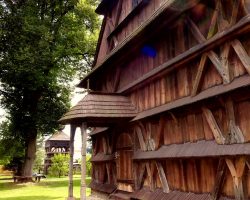 Image by <a href="https://pixabay.com/users/katkazv-3116582/?utm_source=link-attribution&utm_medium=referral&utm_campaign=image&utm_content=1600217">katkaZV</a> from <a href="https://pixabay.com/?utm_source=link-attribution&utm_medium=referral&utm_campaign=image&utm_content=1600217">Pixabay</a>