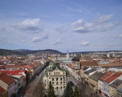 Image by <a href="https://pixabay.com/users/petkation-1336974/?utm_source=link-attribution&utm_medium=referral&utm_campaign=image&utm_content=1380221">Petra Bajusová</a> from <a href="https://pixabay.com/?utm_source=link-attribution&utm_medium=referral&utm_campaign=image&utm_content=1380221">Pixabay</a>