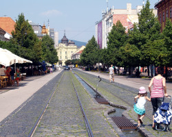 Image by <a href="https://pixabay.com/users/kepass-10873958/?utm_source=link-attribution&utm_medium=referral&utm_campaign=image&utm_content=4950799">kepass</a> from <a href="https://pixabay.com/?utm_source=link-attribution&utm_medium=referral&utm_campaign=image&utm_content=4950799">Pixabay</a>