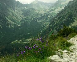 Photo by <a href="https://unsplash.com/@ladomiryak?utm_source=unsplash&utm_medium=referral&utm_content=creditCopyText">Valerii Ladomyriak</a> on <a href="https://unsplash.com/s/photos/slovakia?utm_source=unsplash&utm_medium=referral&utm_content=creditCopyText">Unsplash</a>