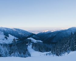 Photo by <a href="https://unsplash.com/@maxkuk?utm_source=unsplash&utm_medium=referral&utm_content=creditCopyText">Max Kukurudziak</a> on <a href="https://unsplash.com/s/photos/slovakia?utm_source=unsplash&utm_medium=referral&utm_content=creditCopyText">Unsplash</a>