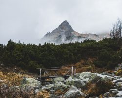 Photo by <a href="https://unsplash.com/@balintkulcsar?utm_source=unsplash&utm_medium=referral&utm_content=creditCopyText">Bálint Kulcsár</a> on <a href="https://unsplash.com/s/photos/slovakia?utm_source=unsplash&utm_medium=referral&utm_content=creditCopyText">Unsplash</a>