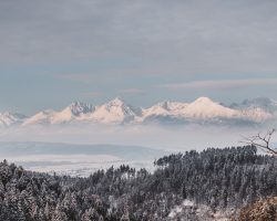Photo by <a href="https://unsplash.com/@martinkatler?utm_source=unsplash&utm_medium=referral&utm_content=creditCopyText">Martin Katler</a> on <a href="https://unsplash.com/s/photos/slovakia?utm_source=unsplash&utm_medium=referral&utm_content=creditCopyText">Unsplash</a>