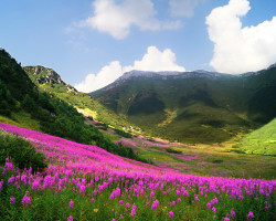 Image by <a href="https://pixabay.com/users/gllen-1335933/?utm_source=link-attribution&utm_medium=referral&utm_campaign=image&utm_content=4631106">Gllen</a> from <a href="https://pixabay.com/?utm_source=link-attribution&utm_medium=referral&utm_campaign=image&utm_content=4631106">Pixabay</a>