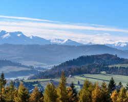 Image by <a href="https://pixabay.com/users/photomix-company-1546875/?utm_source=link-attribution&utm_medium=referral&utm_campaign=image&utm_content=1765015">Photo Mix</a> from <a href="https://pixabay.com/?utm_source=link-attribution&utm_medium=referral&utm_campaign=image&utm_content=1765015">Pixabay</a>