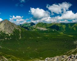 Image by <a href="https://pixabay.com/users/krystianwin-8237000/?utm_source=link-attribution&utm_medium=referral&utm_campaign=image&utm_content=5534924">krystianwin</a> from <a href="https://pixabay.com/?utm_source=link-attribution&utm_medium=referral&utm_campaign=image&utm_content=5534924">Pixabay</a>