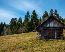 Image by <a href="https://pixabay.com/users/luboshouska-198496/?utm_source=link-attribution&utm_medium=referral&utm_campaign=image&utm_content=2174503">Lubos Houska</a> from <a href="https://pixabay.com/?utm_source=link-attribution&utm_medium=referral&utm_campaign=image&utm_content=2174503">Pixabay</a>