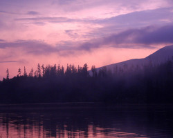 Image by <a href="https://pixabay.com/users/myshoun-11748683/?utm_source=link-attribution&utm_medium=referral&utm_campaign=image&utm_content=5256323">myshoun</a> from <a href="https://pixabay.com/?utm_source=link-attribution&utm_medium=referral&utm_campaign=image&utm_content=5256323">Pixabay</a>