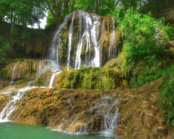 Image by <a href="https://pixabay.com/users/dodo_photos-4245302/?utm_source=link-attribution&utm_medium=referral&utm_campaign=image&utm_content=1974258">Dominik D</a> from <a href="https://pixabay.com/?utm_source=link-attribution&utm_medium=referral&utm_campaign=image&utm_content=1974258">Pixabay</a>