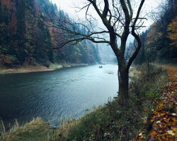 Photo by <a href="https://unsplash.com/@peter_oslanec?utm_source=unsplash&utm_medium=referral&utm_content=creditCopyText">Peter Oslanec</a> on <a href="https://unsplash.com/s/photos/pieniny-national-park%2C-slovakia?utm_source=unsplash&utm_medium=referral&utm_content=creditCopyText">Unsplash</a>