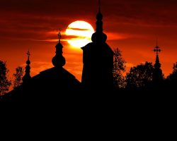 Image by <a href="https://pixabay.com/users/rauschenberger-4614580/?utm_source=link-attribution&utm_medium=referral&utm_campaign=image&utm_content=4752282">RENE RAUSCHENBERGER</a> from <a href="https://pixabay.com/?utm_source=link-attribution&utm_medium=referral&utm_campaign=image&utm_content=4752282">Pixabay</a>